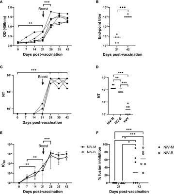 Evaluation of the immunogenicity of an mRNA vectored Nipah virus vaccine candidate in pigs